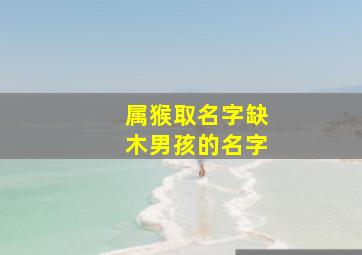 属猴取名字缺木男孩的名字