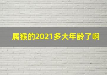 属猴的2021多大年龄了啊