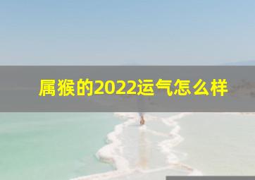 属猴的2022运气怎么样