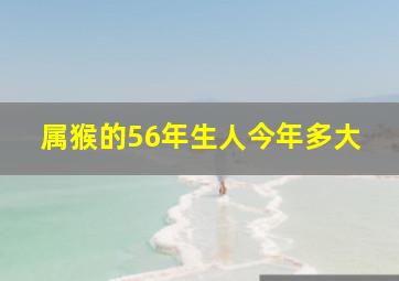 属猴的56年生人今年多大