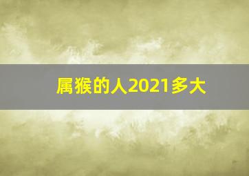 属猴的人2021多大