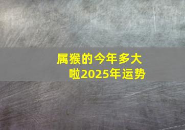 属猴的今年多大啦2025年运势