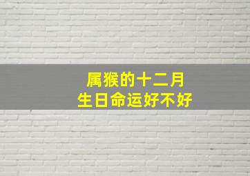 属猴的十二月生日命运好不好