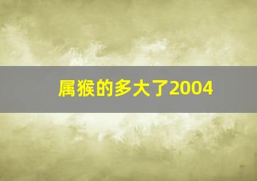 属猴的多大了2004