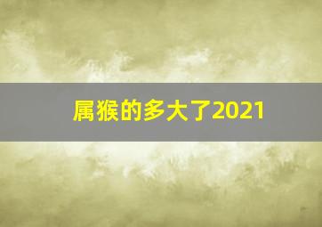 属猴的多大了2021