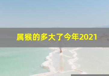 属猴的多大了今年2021