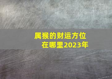 属猴的财运方位在哪里2023年