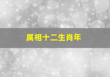 属相十二生肖年