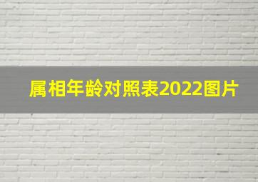 属相年龄对照表2022图片