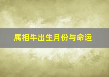 属相牛出生月份与命运