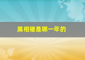 属相猪是哪一年的