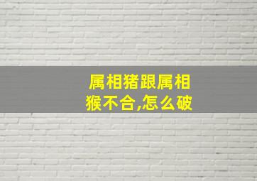 属相猪跟属相猴不合,怎么破