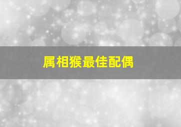 属相猴最佳配偶