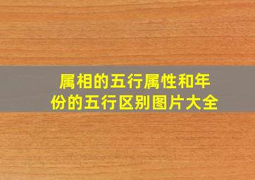 属相的五行属性和年份的五行区别图片大全