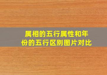 属相的五行属性和年份的五行区别图片对比