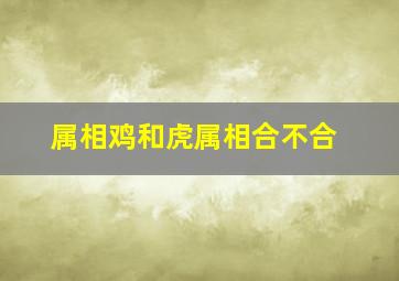 属相鸡和虎属相合不合