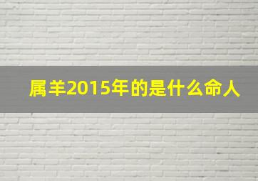 属羊2015年的是什么命人