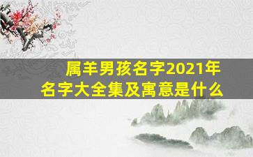 属羊男孩名字2021年名字大全集及寓意是什么