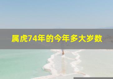 属虎74年的今年多大岁数