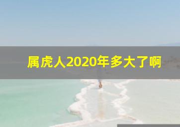 属虎人2020年多大了啊