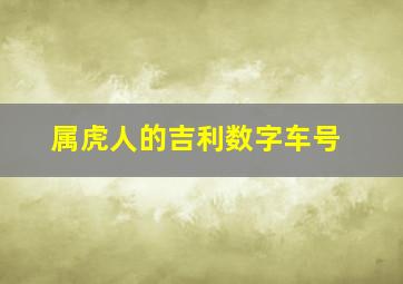 属虎人的吉利数字车号