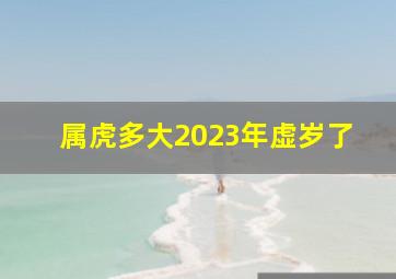 属虎多大2023年虚岁了