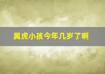 属虎小孩今年几岁了啊