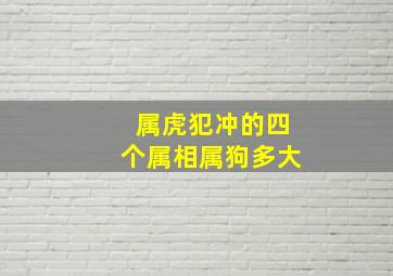 属虎犯冲的四个属相属狗多大