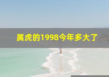 属虎的1998今年多大了