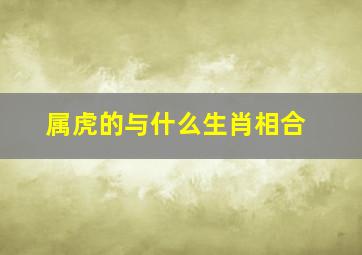 属虎的与什么生肖相合