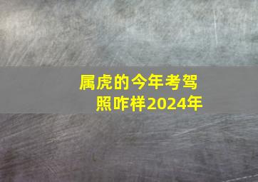 属虎的今年考驾照咋样2024年