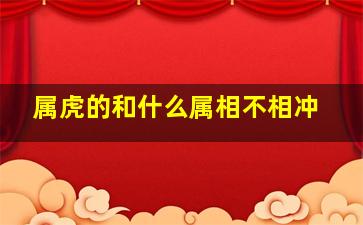 属虎的和什么属相不相冲