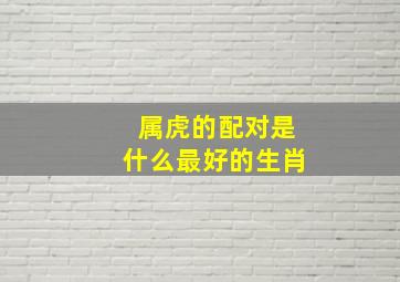 属虎的配对是什么最好的生肖