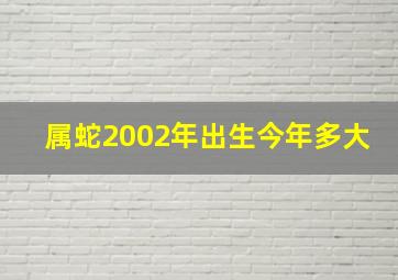 属蛇2002年出生今年多大