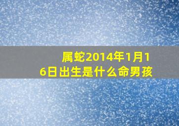 属蛇2014年1月16日出生是什么命男孩