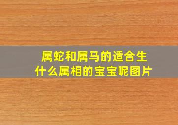 属蛇和属马的适合生什么属相的宝宝呢图片