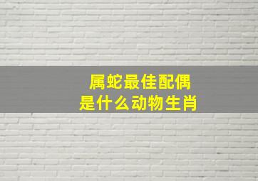 属蛇最佳配偶是什么动物生肖