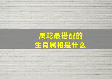 属蛇最搭配的生肖属相是什么