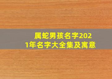 属蛇男孩名字2021年名字大全集及寓意