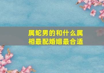 属蛇男的和什么属相最配婚姻最合适