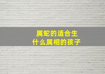 属蛇的适合生什么属相的孩子