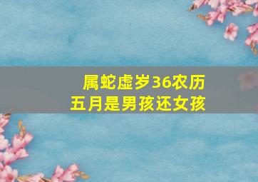 属蛇虚岁36农历五月是男孩还女孩