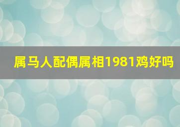 属马人配偶属相1981鸡好吗