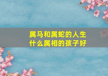 属马和属蛇的人生什么属相的孩子好