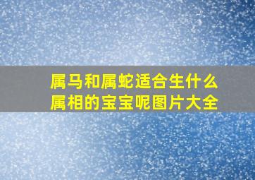 属马和属蛇适合生什么属相的宝宝呢图片大全