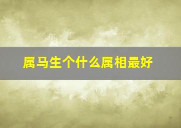 属马生个什么属相最好