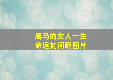 属马的女人一生命运如何呢图片