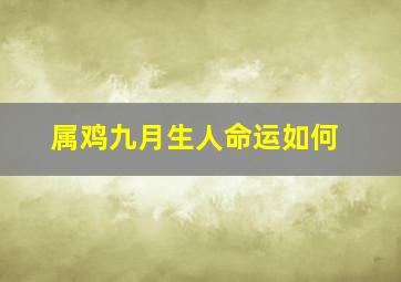 属鸡九月生人命运如何