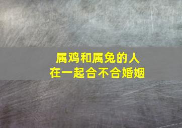 属鸡和属兔的人在一起合不合婚姻