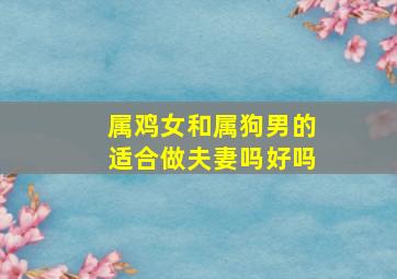 属鸡女和属狗男的适合做夫妻吗好吗